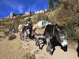 BOLIVIA - Isla del Sol - Titicaca Lake - 68